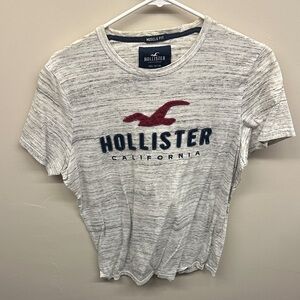 Hollister Muscle Fit T-Shirt